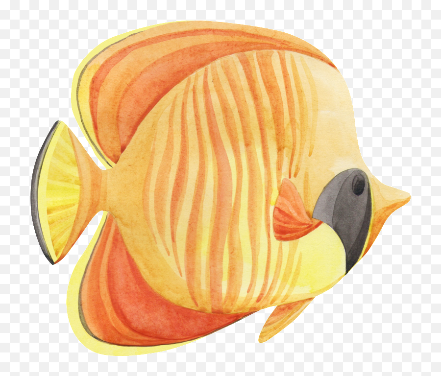 Download Hand Painted A Tropical Fish Png Transparent - Duck,Tropical Fish Png