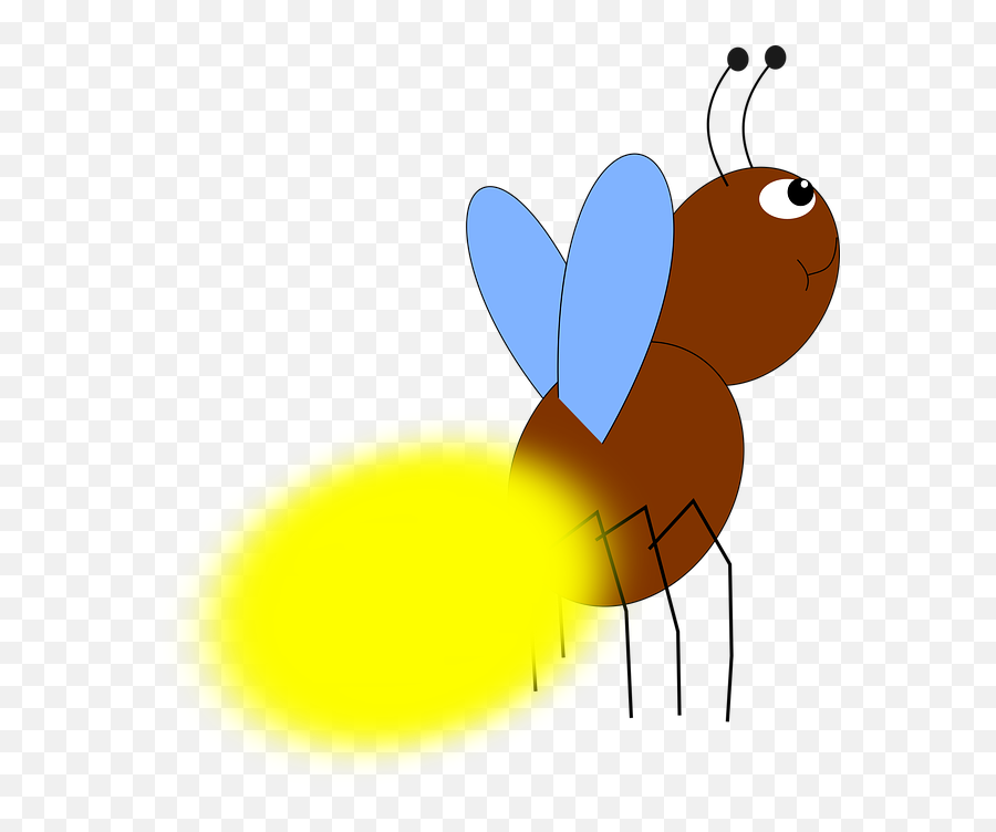 Download Firefly Png - Firefly Clipart Png,Firefly Png