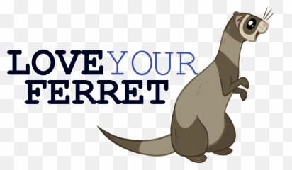 Home Png Ferret
