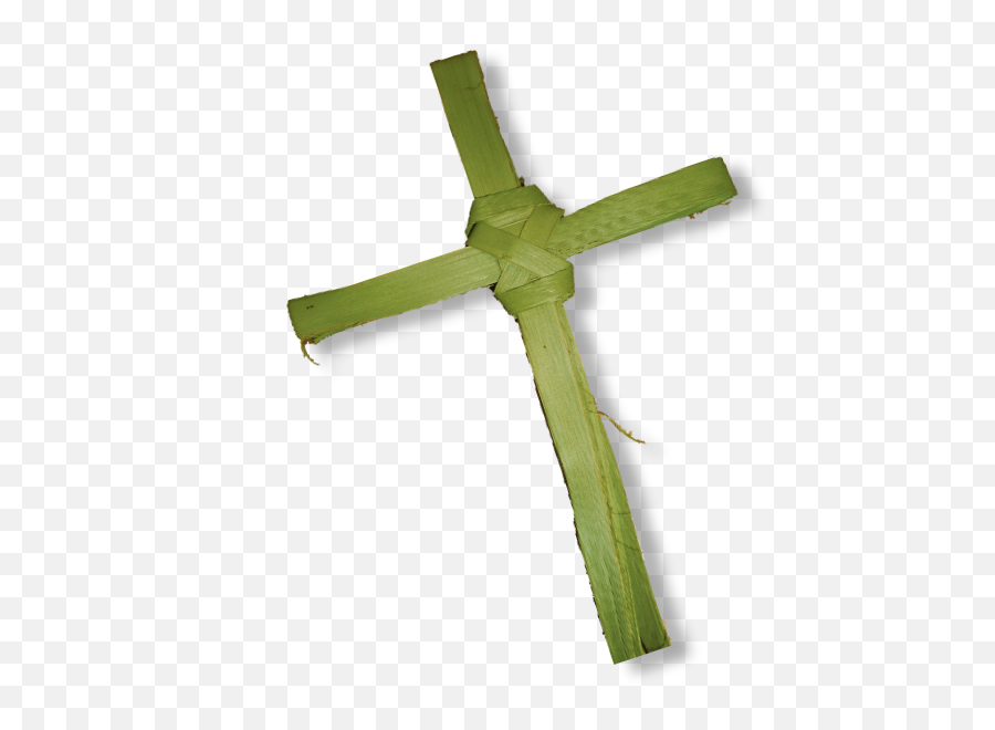 Palm Branch Christian Cross Trees Photography - Finger Palm Tree With A Cross Png,Fingers Crossed Png