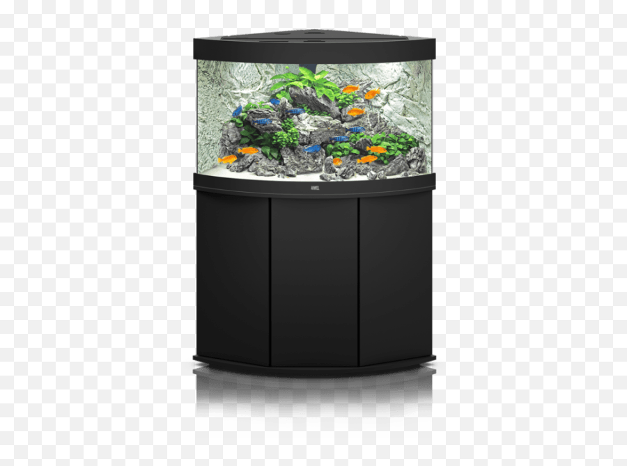 Aquarium Png Transparent Images - Juwel Cliff Light Background,Fish Tank Png