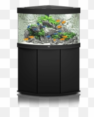 Aquarium Png Transparent Images - Juwel Cliff Light Background,Fish Tank Png