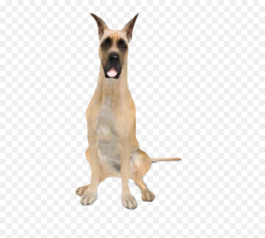 Download Free Png Great Dane - Transparent Great Dane Png,Great Dane Png