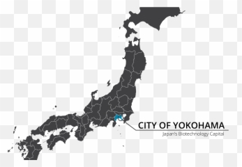 Capital Of Japan - All Answers In Quiz Diva Country Shape Png,Japan Map Png