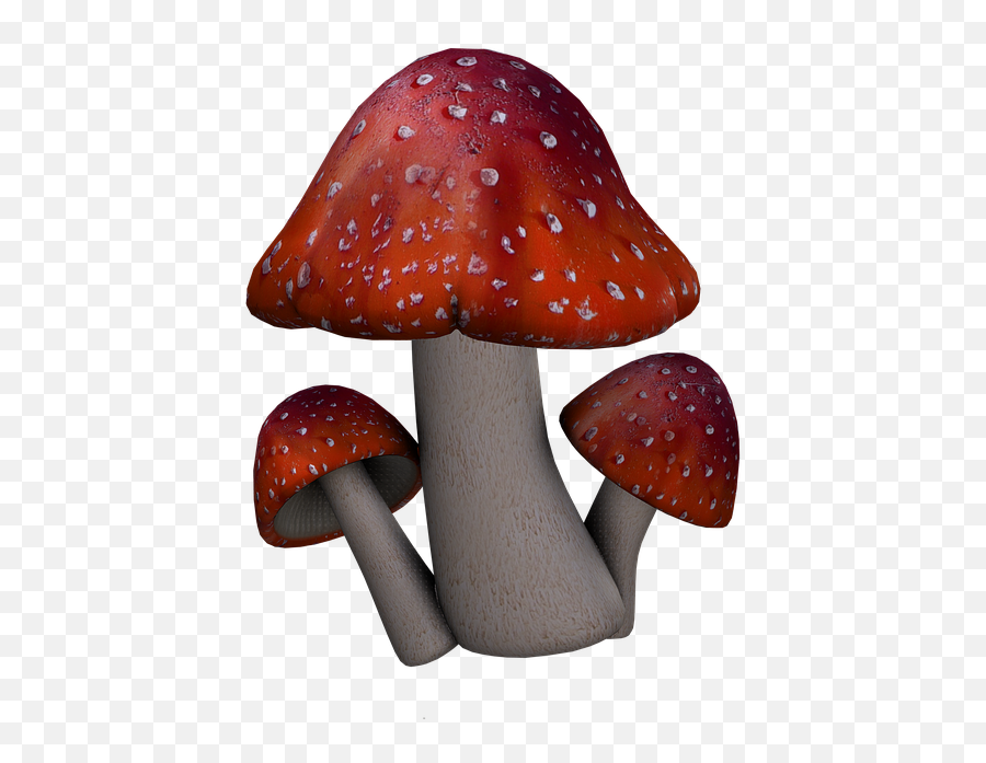 Red Mushroom Png Picture - Fantasy Mushroom Png,Toadstool Png