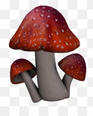 Red Mushroom Png Picture - Fantasy Mushroom Png,Toadstool Png