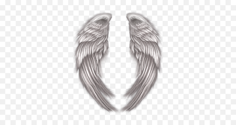 Free Angel Wings Psd Vector Graphic - Vectorhqcom Angel Wings Wrapped Around Png,Black Angel Wings Png