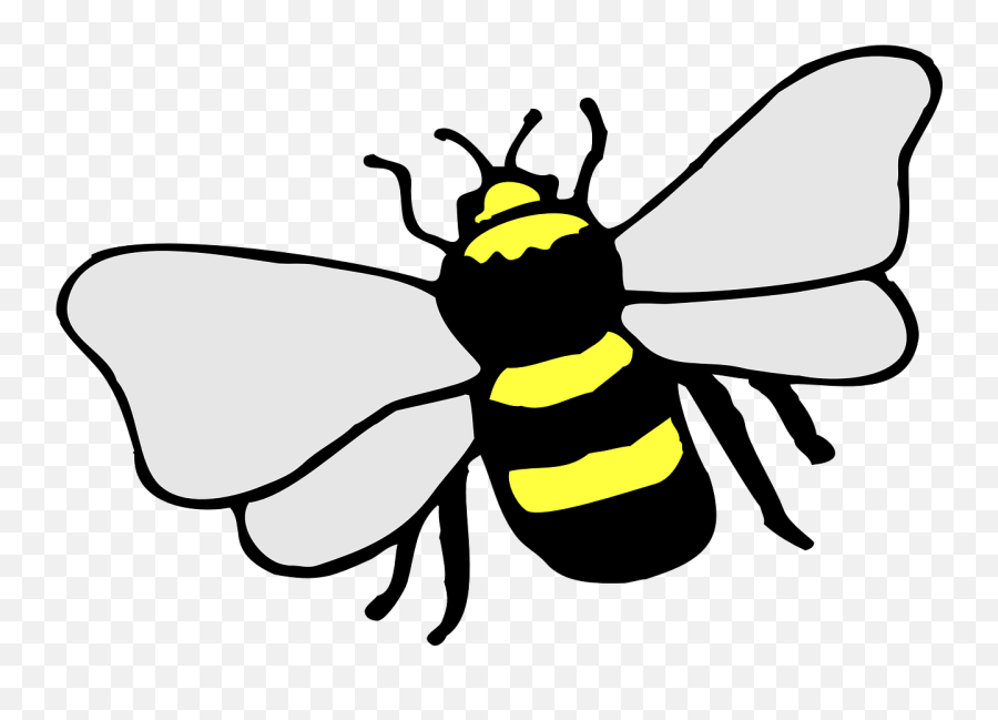 Cute Bee Pictures 17 Buy Clip Art - Simple Drawing Of A Bee Simple Drawing Of A Bee Png,Cute Bee Png