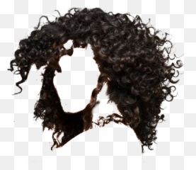 Download Hd Jpg Royalty Free Library - Black Curly Hair Png,Afro Transparent