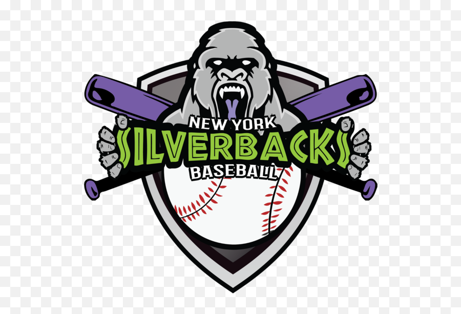 Ryan Moretti - Ny Silverbacks Baseball Png,Detroit Tigers Logo Png