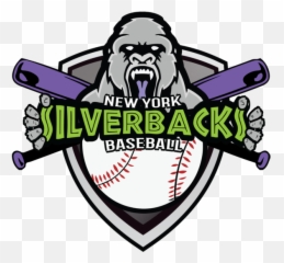 Ryan Moretti - Ny Silverbacks Baseball Png,Detroit Tigers Logo Png