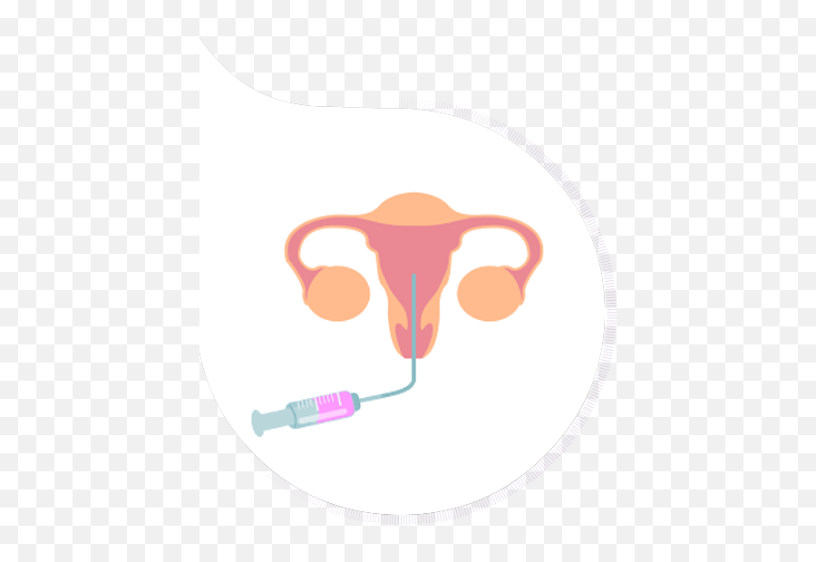 Frozen Embryo Transfer Procedure In Frozen Embryo Transfer Icon Png Frozen Embryo Transfer Procedure In Frozen Embryo Transfer Icon Png