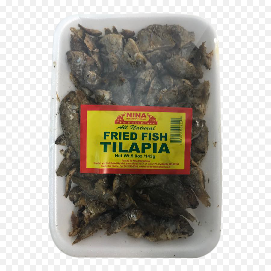 Fried Fish Tilapia - Sea Cucumber Png,Fried Fish Png