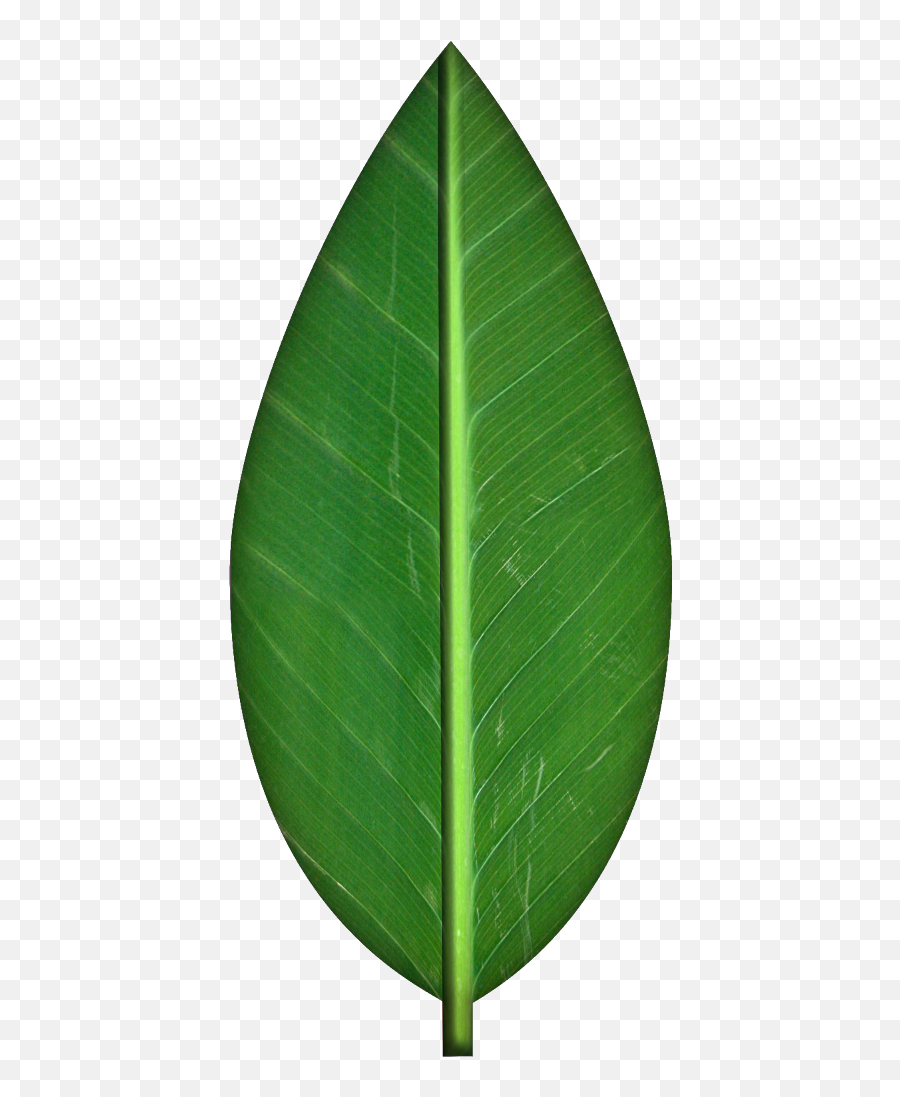 Falling Leaf Clipart No Background - Transparent Background Leaves Clipart Png,Leaf Transparent Background