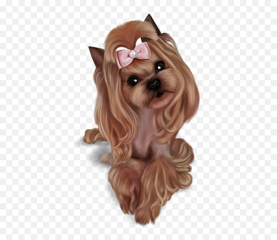 Yorkie Baby T - Shirt Yorkie Baby Png,Yorkie Png