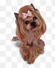 Yorkie Baby T - Shirt Yorkie Baby Png,Yorkie Png