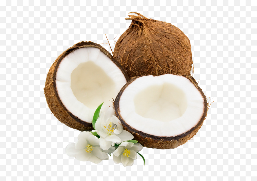 Coconut Water Juice Milk - Noix De Coco Png,Coconut Transparent