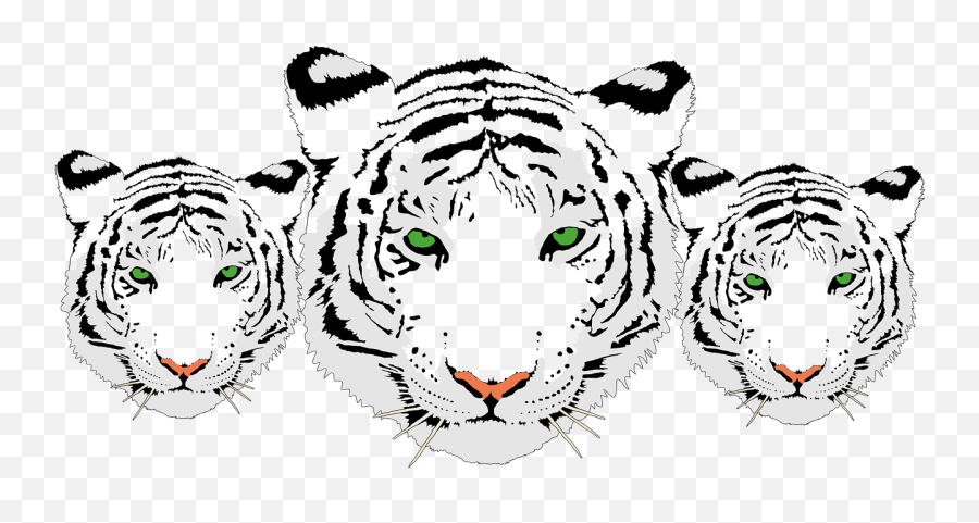 White Tiger Clipart Transparent - White Tiger Head Png,White Tiger Png