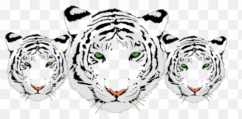 White Tiger Clipart Transparent - White Tiger Head Png,White Tiger Png