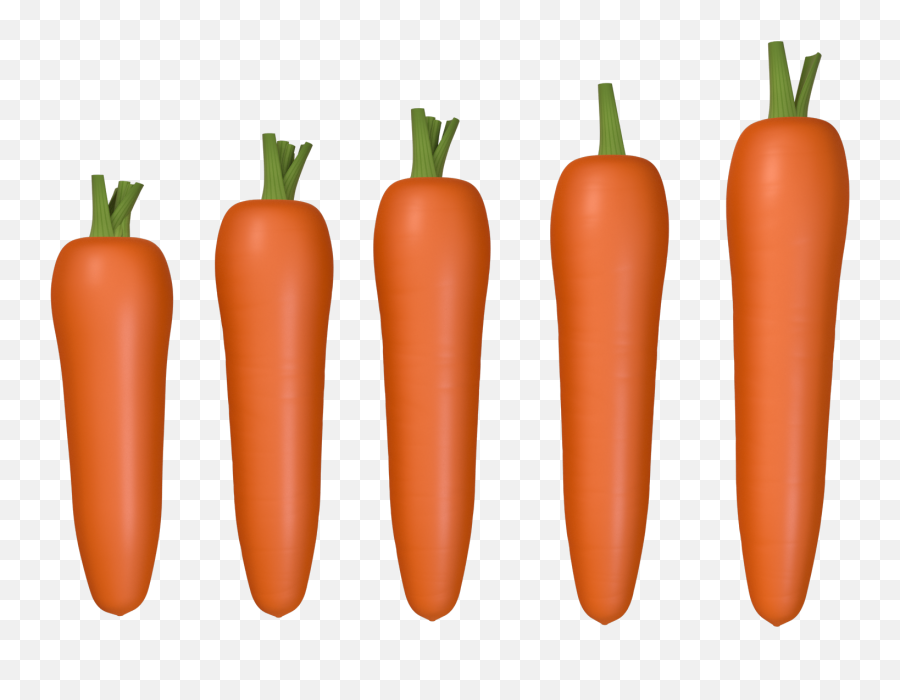 Zanahoria C4d Png Y Psd - Zanahoria De Masha Y El Oso,Zanahoria Png