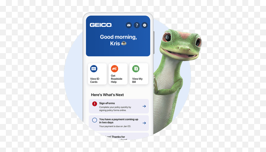 How To Contact Us Customer Service - Geico Phone Number Customer Service Png,Geico Gecko Png