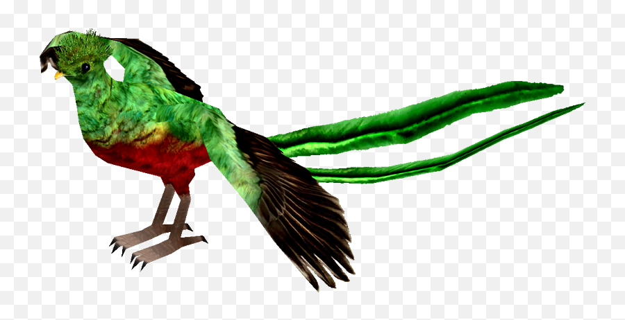 Resplendent Quetzal - Png Quetzal Transparent Drawing,Quetzal Png