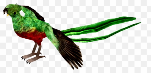 Resplendent Quetzal - Png Quetzal Transparent Drawing,Quetzal Png