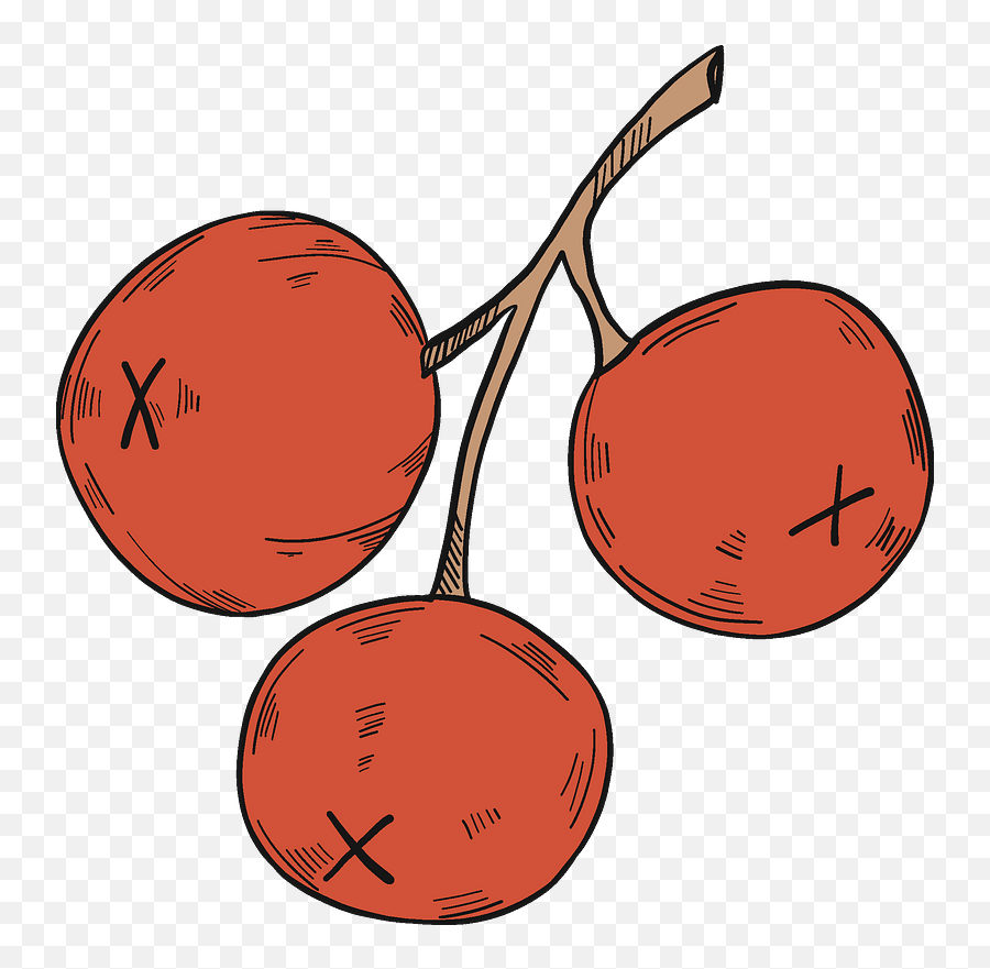 Three Cranberries Clipart Free Download Transparent Png - Fresh,Cranberries Png