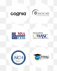 Fusion Academy Burlington Teachers - Dot png