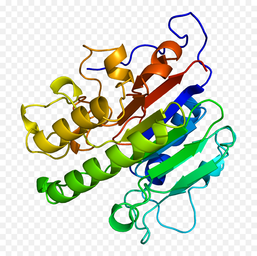 Protein Apex1 Pdb 1bix - Ape Ref 1 Protein Png,Adp Icon File