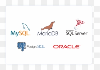 Features Of Embedded Analytics Dashboard Software Bold Bi - Language png
