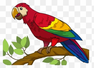 Parrot Clipart Free Download Transparent Png Creazilla - Clipart