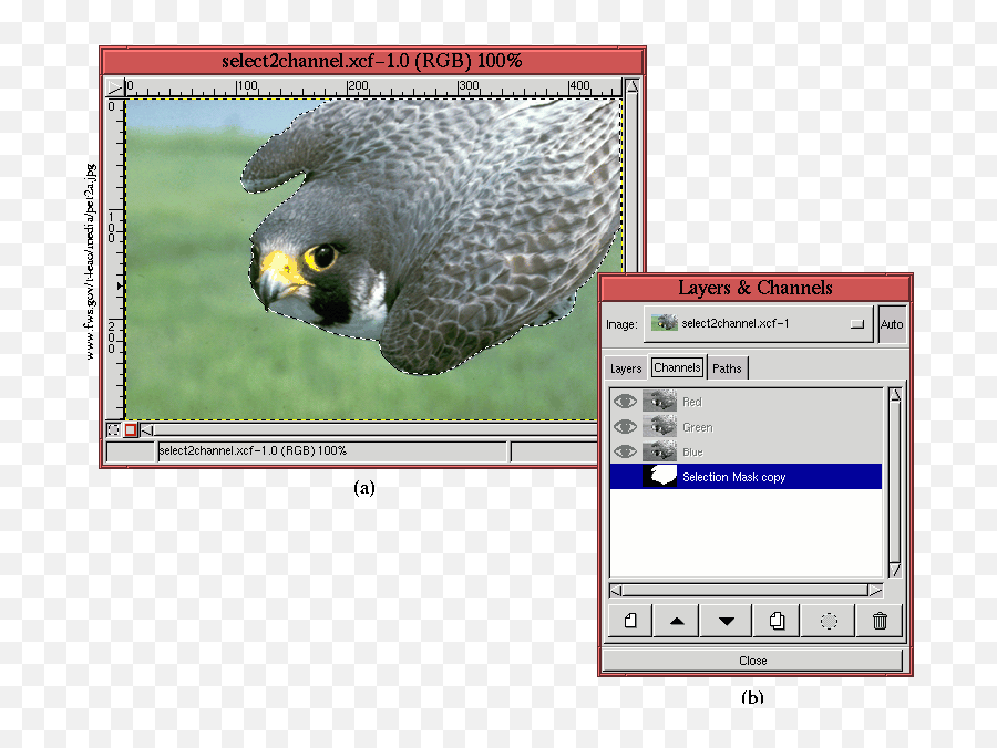 41 Channel Masks - Peregrine Falcon Png,Peregrine Falcon Icon