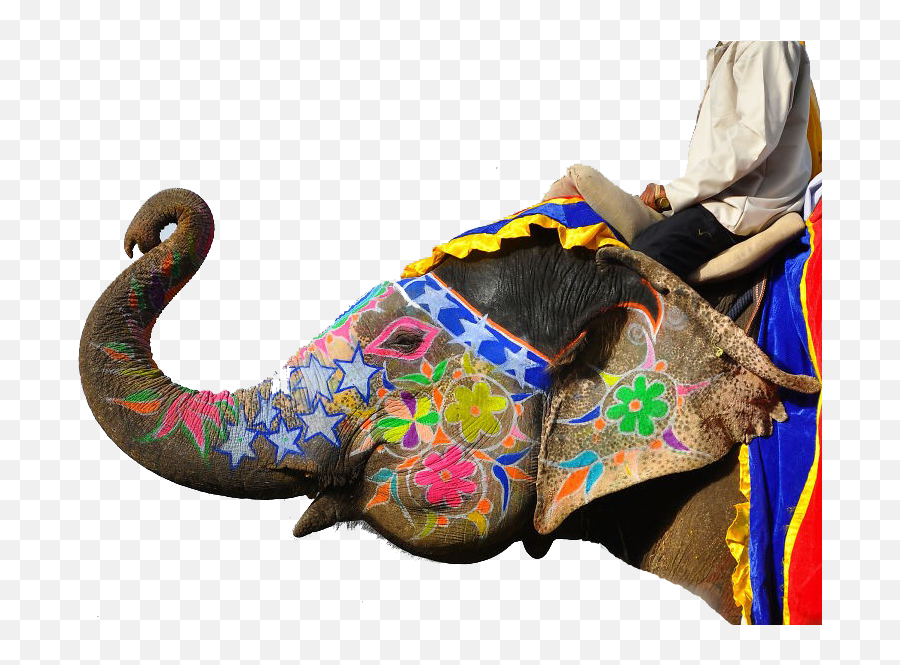 Jaipur Elephant Festival Png Clipart