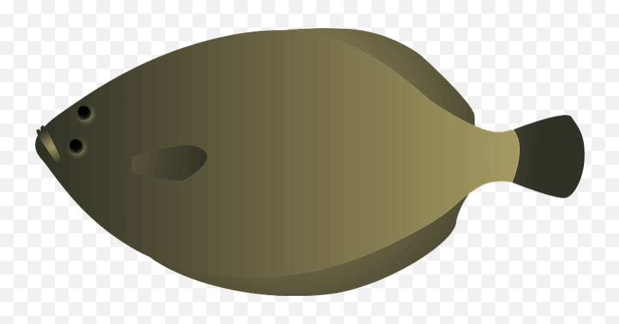 Olive Flounder Clipart Free Download Creazilla - Flatfish Png,Flounder Png