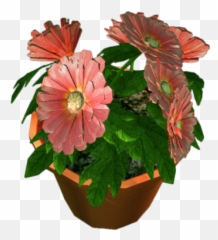 Flower Pot Png Dead Flowers