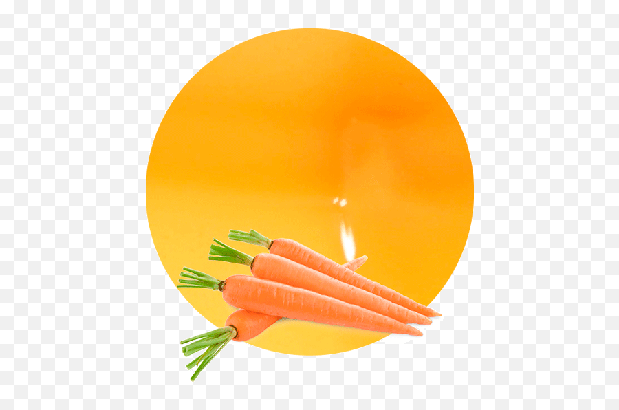 Carrot Juice Nfc - Manufacturer U0026 Supplier Lemonconcentrate Png,Carrots Png