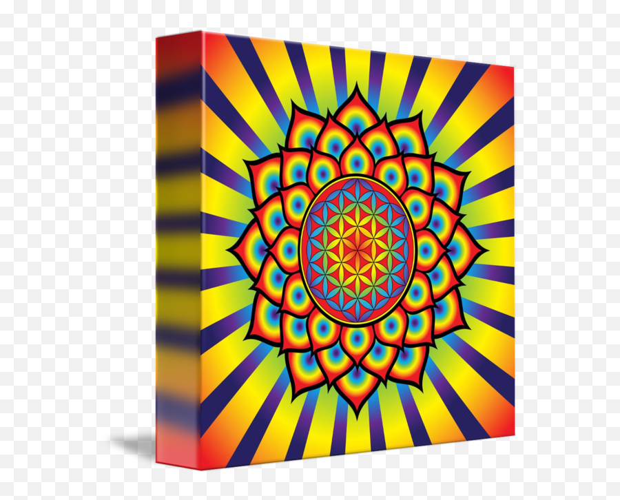 Flower Of Life Rainbow Mandala By Galactic Mantra - Pintura Con Geometria Png,Flower Of Life Png
