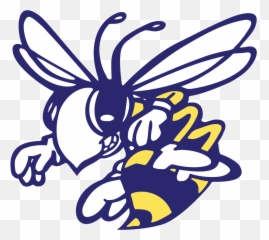 Yellow Jacket Vector - Stephenville High School Logo Png,Georgia Tech Yellow Jackets Logo