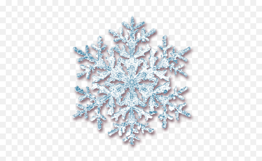 Real - Snowflake Transparent Real Snowflake Png,Snowflake Transparent