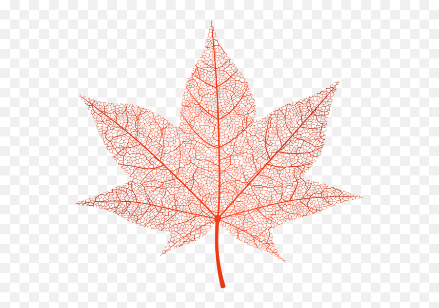 Leaves Clipart Red Fall Leaf - Transparent Maple Leaf Png,Transparent Fall Leaves