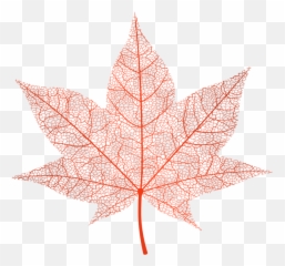 Leaves Clipart Red Fall Leaf - Transparent Maple Leaf Png
