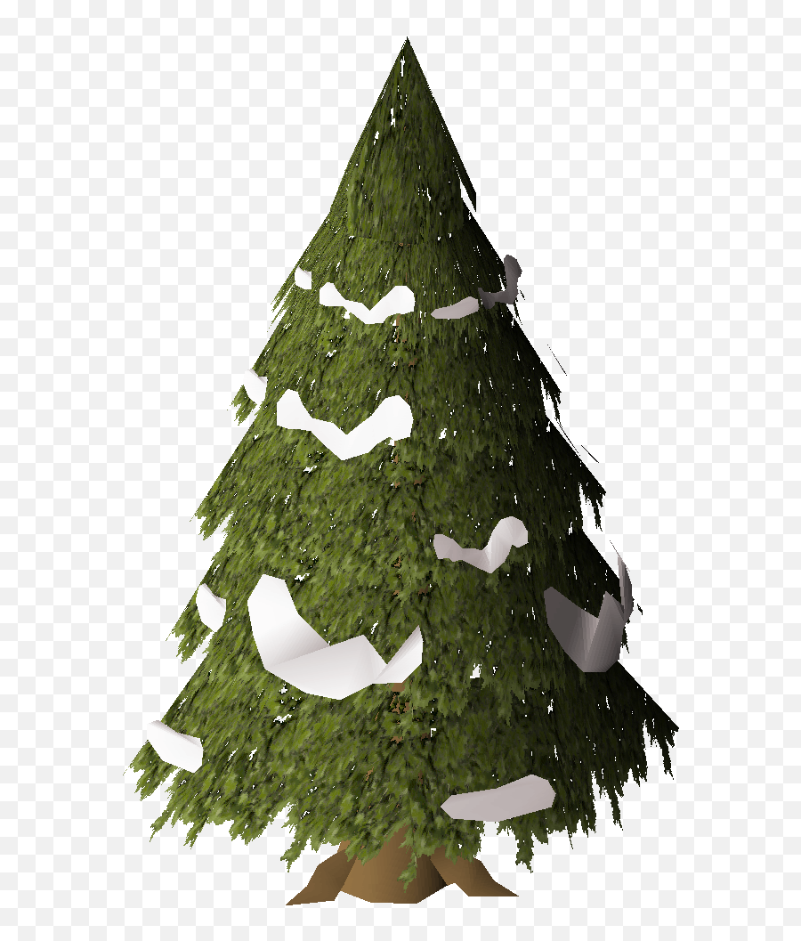 Evergreen - Osrs Wiki Christmas Tree Png,Evergreen Tree Png