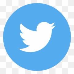 Twitter Icon For Website - Barka Png Format Twitter Logo