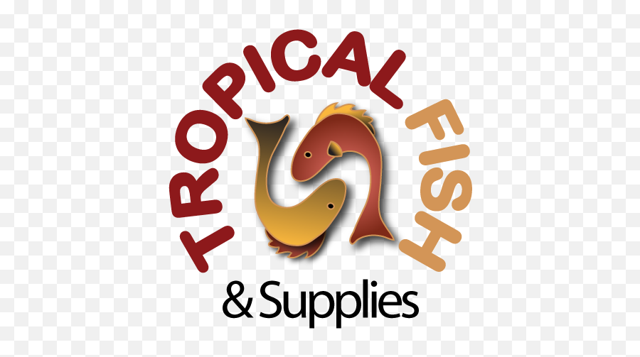 Tropical Fish Png