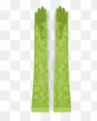 Lace Gloves - Long Green png