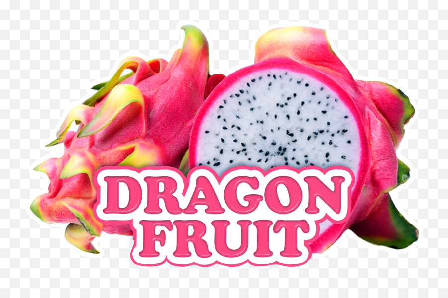 Dragonfruit Bowldecal 6o625x4o125 - Pitaya Png,Dragonfruit Png