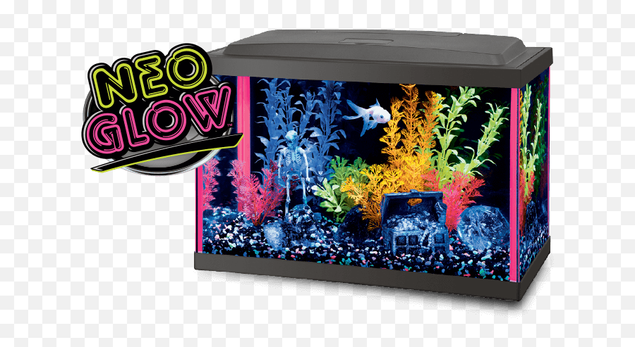 Its All - Aqueon Fish Tank Png,Fish Tank Png