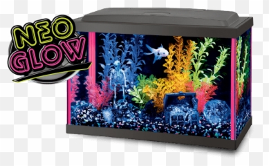 Its All - Aqueon Fish Tank Png,Fish Tank Png
