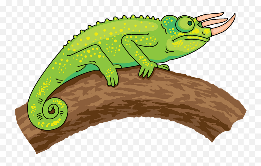 Trioceros Chameleon Clipart - Chameleon Clipart Png,Chameleon Png